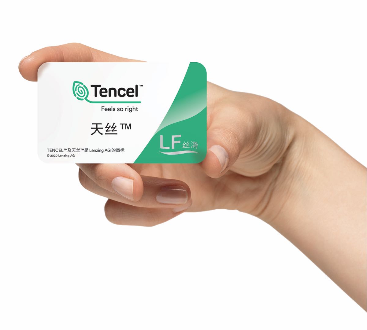 MS - ��ʨ����ᡤ�ٷ�(�й�)