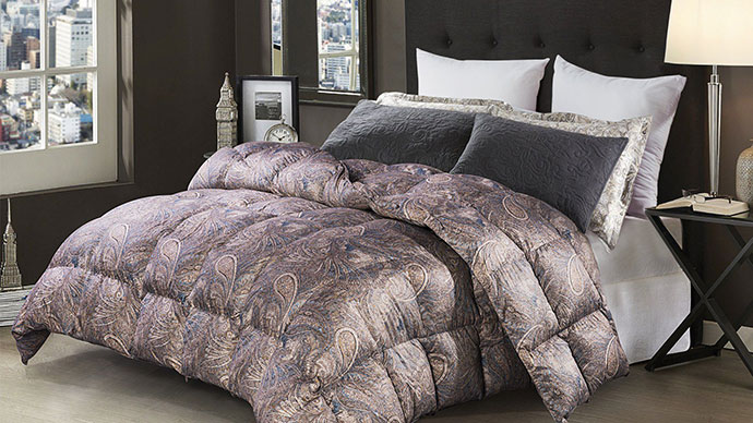 MS - ��ʨ����ᡤ�ٷ�(�й�)