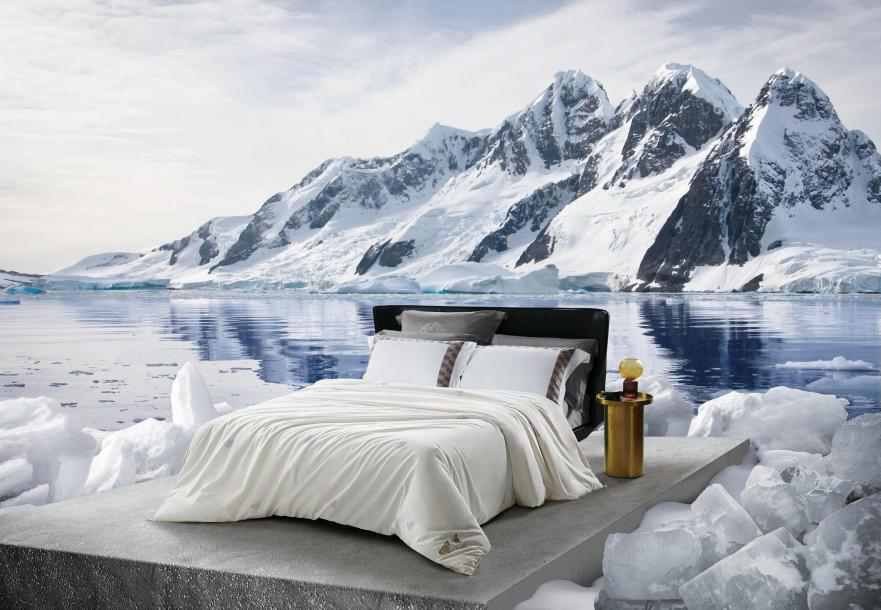 MS - ��ʨ����ᡤ�ٷ�(�й�)