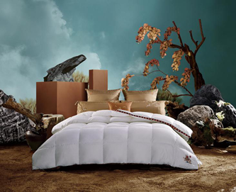 ��оʲô���Ӻ�