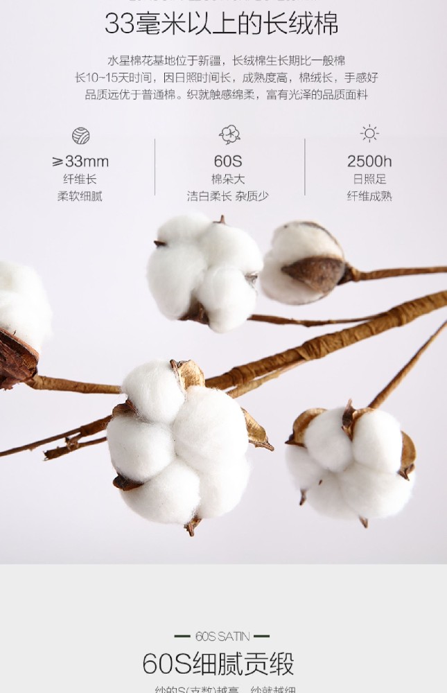 �����ļ���