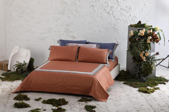 һ��Ʒ�Ƽҷ�