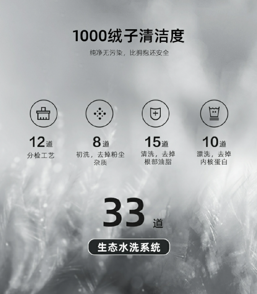 ���ޱ�ʮ��Ʒ��