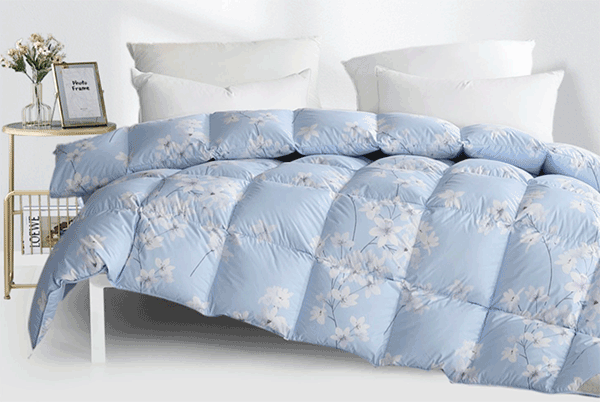 ���ޱ��ĸ�Ʒ�Ʊ�����