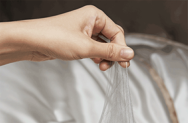 ɣ��˿���ĸ��������