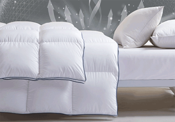 �ڱ���õ����ޱ�