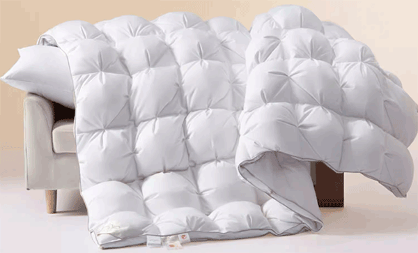 �ڱ���õ����ޱ�