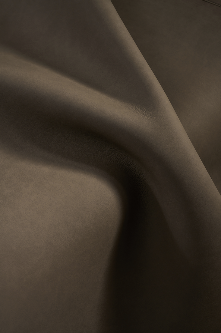 MS - ��ʨ����ᡤ�ٷ�(�й�)